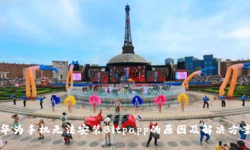 华为手机无法安装Bitpapp的原因及解决方案