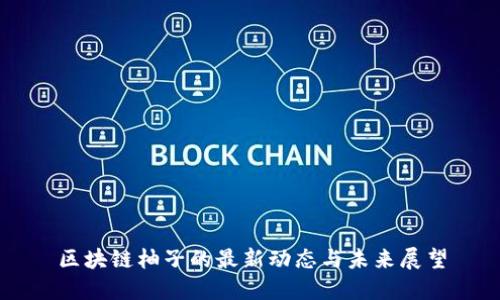 区块链柚子的最新动态与未来展望