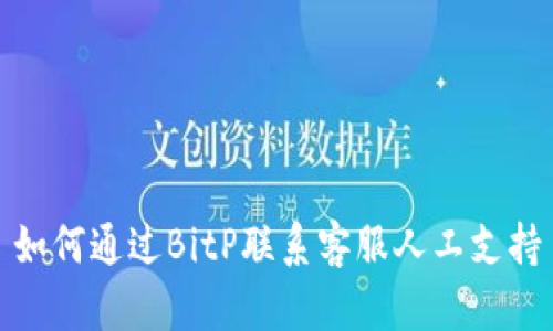 如何通过BitP联系客服人工支持