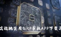 如何安全高效地使用BitP手机APP下载与投资指南