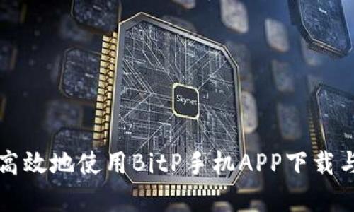 如何安全高效地使用BitP手机APP下载与投资指南
