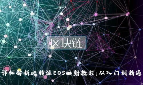 详细解析比特派EOS映射教程：从入门到精通