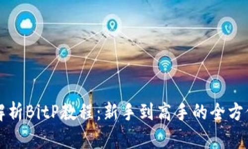 全面解析BitP教程：新手到高手的全方位指南
