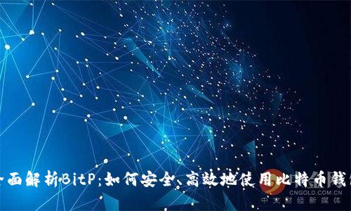 全面解析BitP：如何安全、高效地使用比特币钱包