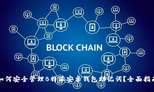 如何安全管理B特派安卓钱包助记词？全面指南