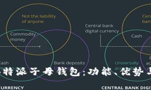 全面解析B特派子母钱包：功能、优势与使用体验