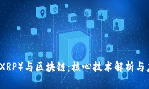 瑞波币（XRP）与区块链：核心技术解析与应用前景