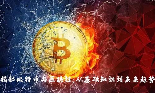 揭秘比特币与区块链：从基础知识到未来趋势
