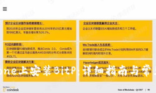 如何在iPhone上安装BitP：详细指南与常见问题解答