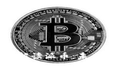 区块链专业人士解读派币：未来潜力与发展前景