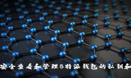 如何安全查看和管理B特派钱包的私钥和密码