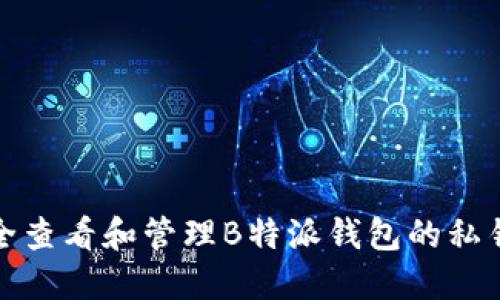 如何安全查看和管理B特派钱包的私钥和密码