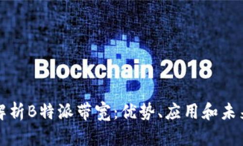 全面解析B特派带宽：优势、应用和未来发展
