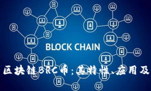 全面解析区块链BRC币：其特性、应用及未来前景
