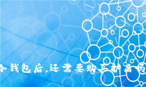 使用b特派冷钱包后，还需要购买护盾吗？全面解析！