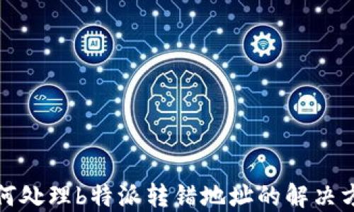 
如何处理b特派转错地址的解决方案