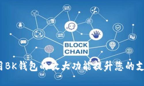 如何使用BK钱包的放大功能提升您的支付体验？