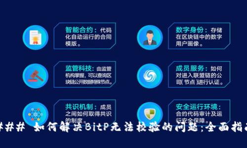 ### 如何解决BitP无法校验的问题：全面指南