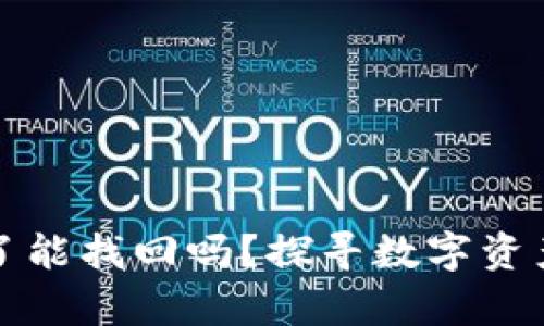 比特派钱包掉了能找回吗？探寻数字资产恢复的可能性