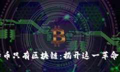 为什么说比特币只有区块链：揭开这一革命性技