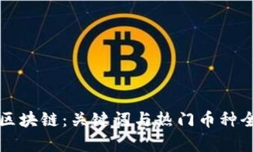 深入区块链：关键词与热门币种全解析