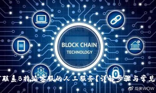 如何联系B特派客服的人工服务？详解步骤与常见问题