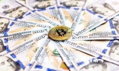 b特派苹果版下载及使用指南