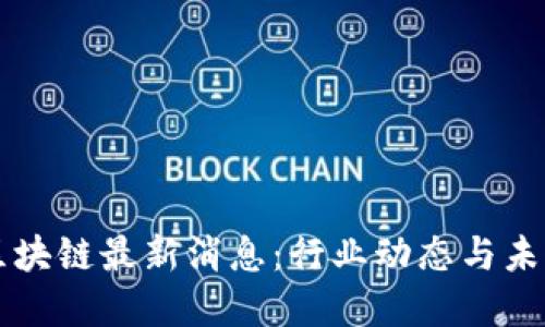 胡安区块链最新消息：行业动态与未来展望