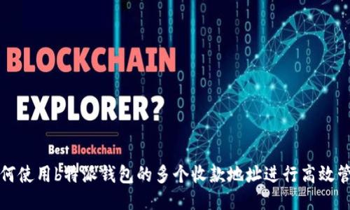 如何使用b特派钱包的多个收款地址进行高效管理