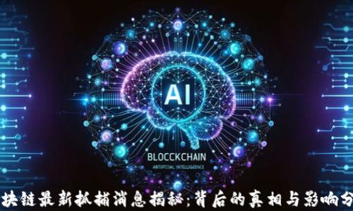 
区块链最新抓捕消息揭秘：背后的真相与影响分析