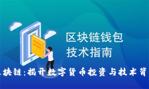炒币与区块链：揭开数字货币投资与技术背后的真相