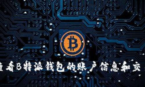 如何查看B特派钱包的账户信息和交易记录