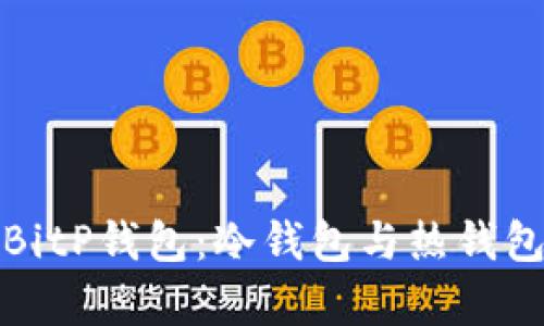 选择最佳的BitP钱包：冷钱包与热钱包的对比分析