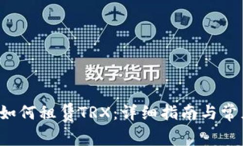 b特派钱包如何租赁TRX：详细指南与常见问题解答