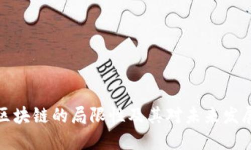 比特币区块链的局限性及其对未来发展的影响