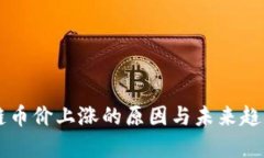 区块链币价上涨的原因与未来趋势分析