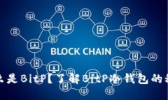 什么是BitP？了解BitP冷钱包的秘密