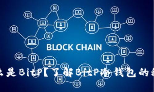 什么是BitP？了解BitP冷钱包的秘密