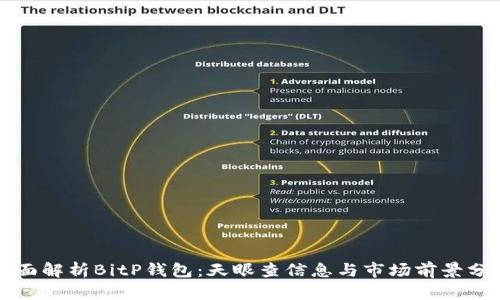 全面解析BitP钱包：天眼查信息与市场前景分析