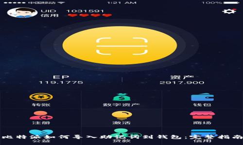 比特派如何导入助记词到钱包：完整指南