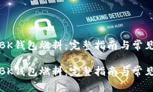 如何使用BK钱包燃料：完整指南与常见问题解答

如何使用BK钱包燃料：完整指南与常见问题解答