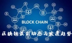 横琴区块链最新动态与发展趋势分析