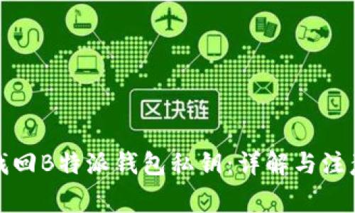 如何找回B特派钱包私钥：详解与注意事项
