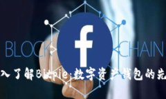 深入了解Bitpie：数字资产钱包的先驱