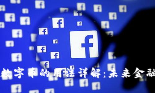 区块链数字币的用法详解：未来金融的新宠