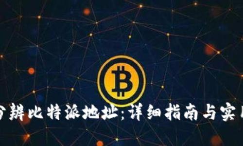 如何分辨比特派地址：详细指南与实用技巧