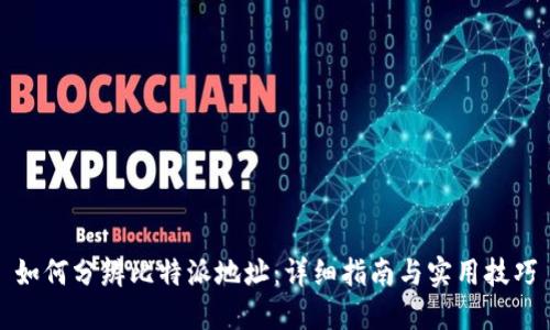 如何分辨比特派地址：详细指南与实用技巧