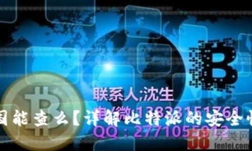 比特派中国能查么？详解比特派的安全性与适用性