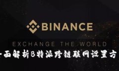 全面解析B特派跨链联网设置方法
