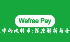 区块链中的比特币：深度解析与全面指南